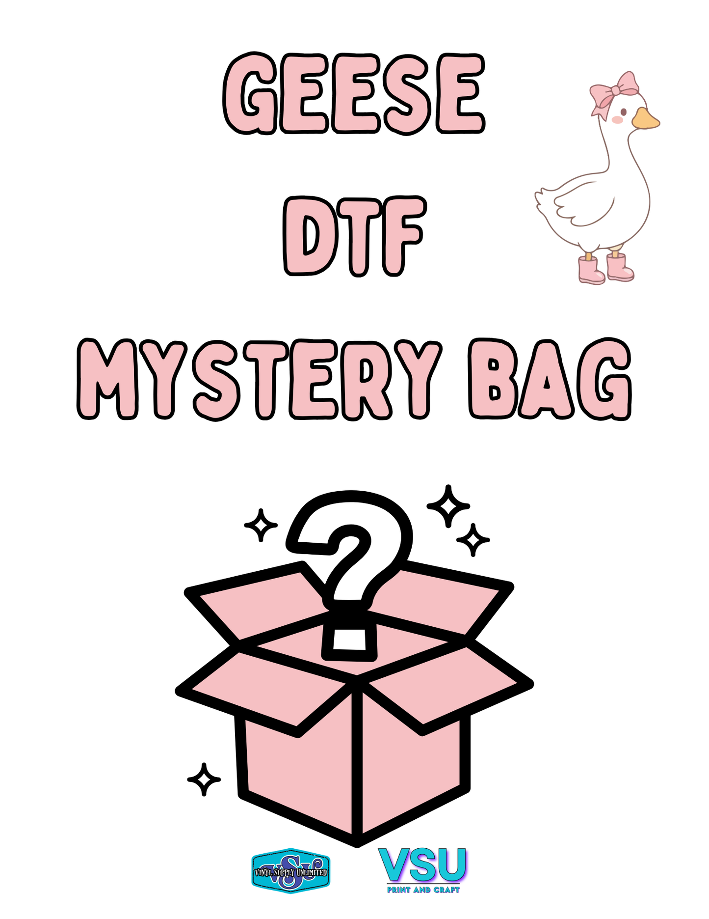 DTF Mystery Bags